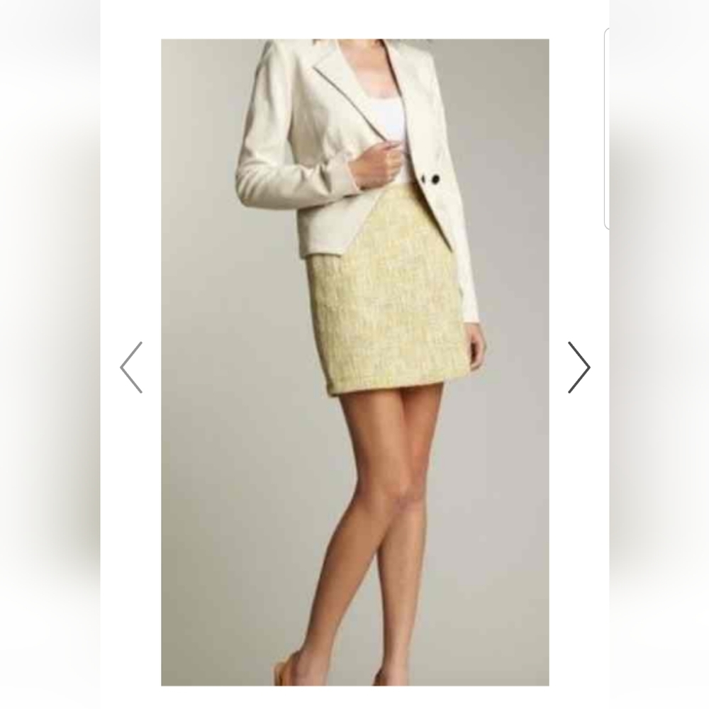 ADAM LIPPES Yellow Tweed Skirt